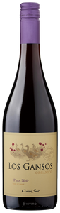 Cono Sur Los Gansos Orgánico Pinot Noir N.V.