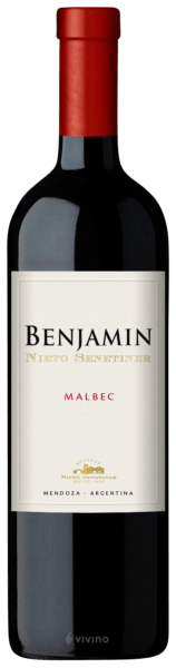 BENJAMIN NIETO MALBEC 12X375 - imagen 3