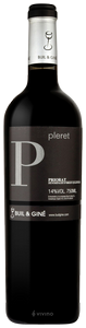 Buil & Giné Pleret N.V.