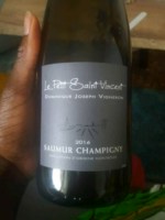 Dominique Joseph - Le Petit Saint Vincent Saumur Champigny Blanc