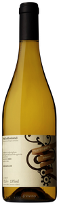 Marco Sara Friulano N.V.