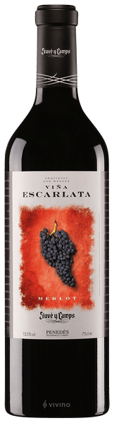 Juvé & Camps Merlot Penedès Viña Escarlata