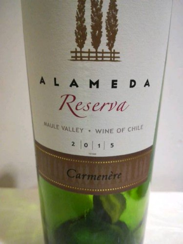 Alameda Reserva Carménère | Vivino US
