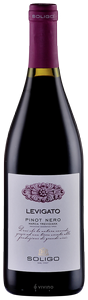 Soligo Levigato Pinot Nero N.V.