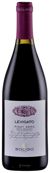 Soligo Levigato Pinot Nero