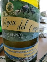 Antonio Mazzella Vigna del Cognulo Bianco
