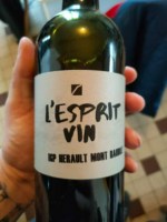 Vignoble des 2 Terres L’Esprit Vin Hérault Mont Baudile