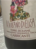 Il Vulcano di Elisa Carricante