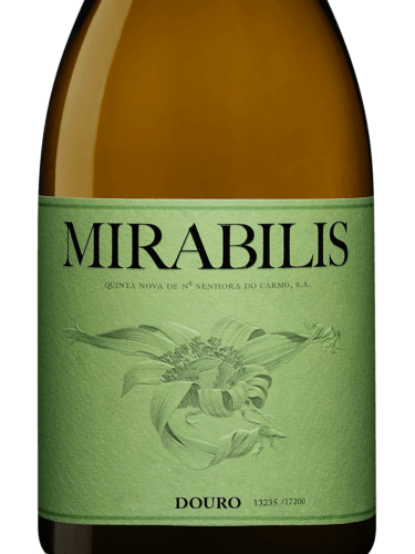 Mirabilis Branco