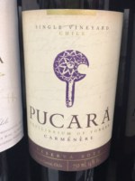 Pucará Single Vineyard Reserva Carménère