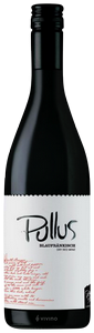 Pullus Blaufränkisch N.V.