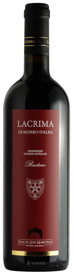 アンジェロガヤ　ダルチェトアルバ1983二本 アンジェロガヤ ダルチェトアルバ1983二本 【公式通販】