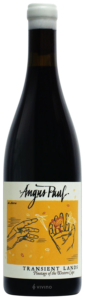 Angus Paul Transient Lands Pinotage 2022