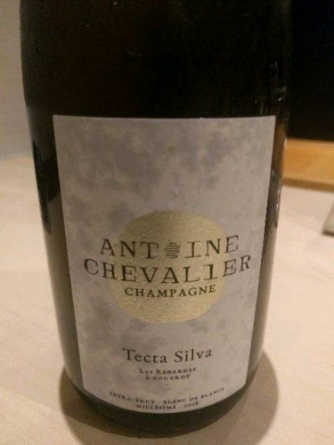 Champagne Antoine Chevalier Tecta Silva Blanc de Blancs Extra Brut ...