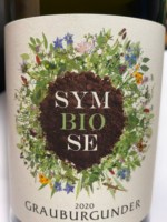 Hechtsheim Symbiose Grauburgunder Trocken