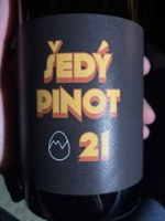 Martin Vajčner Vinařství Šedý Pinot