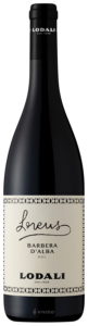 Lodali Lorens Barbera d'Alba 2023