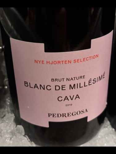 Castelo de Pedregosa Cava Nye Hjorten Selection Blanc de Millésimé Brut ...