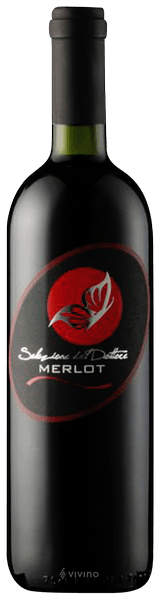 San Simone Selezione del Dottore Merlot