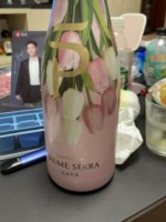 Jaume Serra Cava Lady Penguin