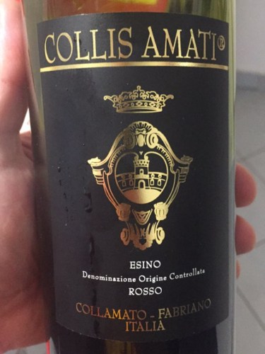 Collis Amati Collamato Fabriano Esino Rosso Vivino Brasil