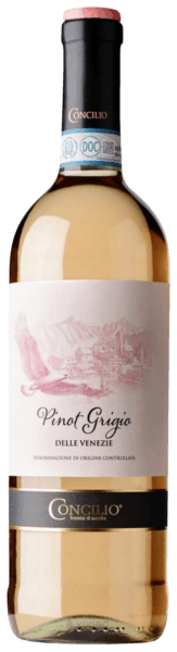 2015 Concilio Pinot Grigio | Vivino US