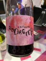 Milan Nestarec Rodagech
