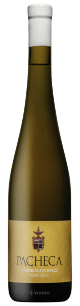 Pacheca Moscatel Galego Branco