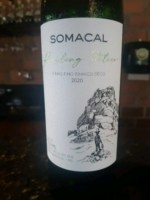 Vinho Vinícola Somacal Branco Seco Brasil Riesling 2024 750ml
