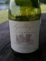 Apaltagua Reserva Especial Chardonnay