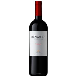 BENJAMIN NIETO MERLOT 6X750 - imagen 5