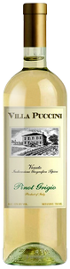 Villa Puccini Pinot Grigio Veneto N.V.