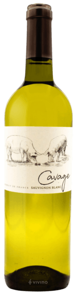 Georges Vigouroux Cavage Sauvignon Blanc