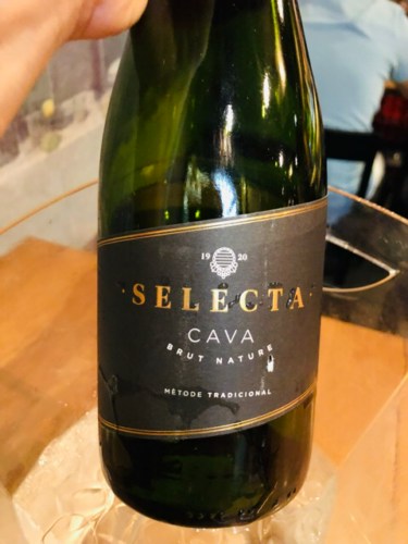 Selecta Cava Brut Nature | Vivino English