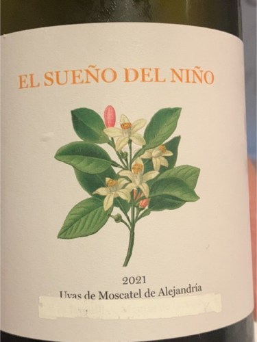 El Sueño Del Niño Blanco Vivino English