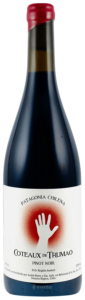 Coteaux de Trumao Pinot Noir 2021