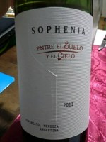 Sophenia Entre el Suelo y el Cielo