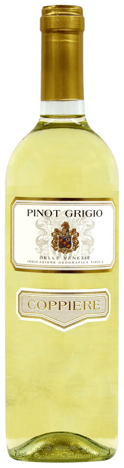 Cantina del Coppiere Pinot Grigio | Vivino English
