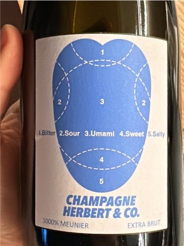 Herbert & Co. 1000% Meunier Extra Brut Champagne | Vivino English