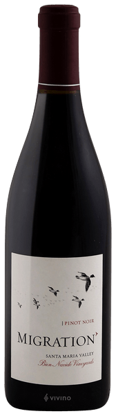 Migration Bien Nacido Vineyard Pinot Noir