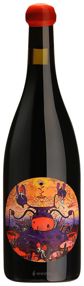 2015 Patrick Sullivan Fruit of the Sky Pinot Noir | Vivino US