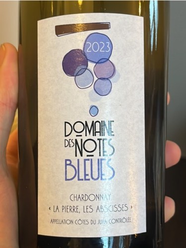 Domaine des Notes Bleues Chardonnay La Pierre Les Abscisses | Vivino US