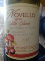 Villa Silvia Novello