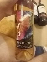 Chateau Chizay Pino Grigio
