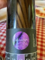 La Vinyeta Microvins Garnatxa Negra Bota