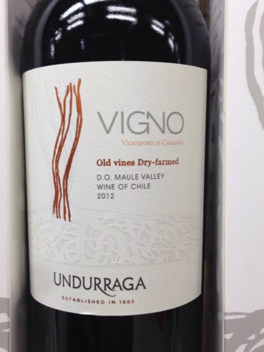 Kết quả hình ảnh cho undurraga vigno