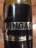 Isaac Fernandez Pingao