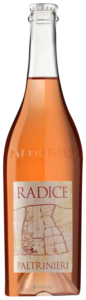 Paltrinieri Radice N.V.