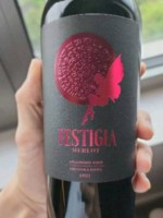 Vina Laguna Festigia Merlot
