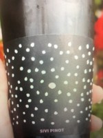 Gönc Winery Sivi PInot
